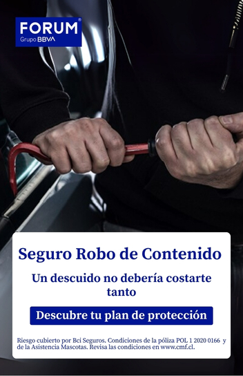 <p>Seguro Robo de Contenido</p>