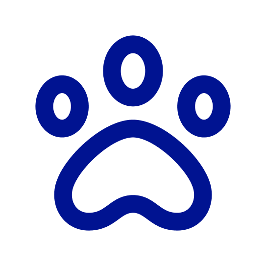 Seguro Mascotas