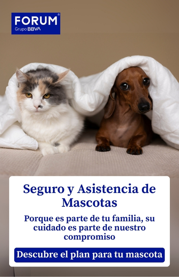 <p>Seguros Imagen 2</p>
